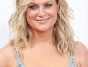 Amy Poehler plastic surgery