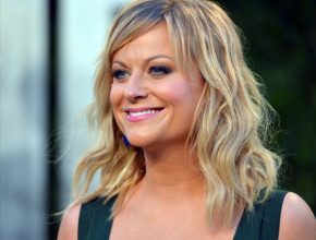 Amy Poehler plastic surgery (22)