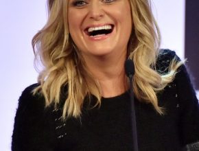 Amy Poehler plastic surgery (27)