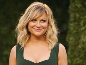 Amy Poehler plastic surgery (28)