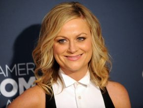 Amy Poehler plastic surgery (3)