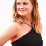 Amy Poehler plastic surgery (30)