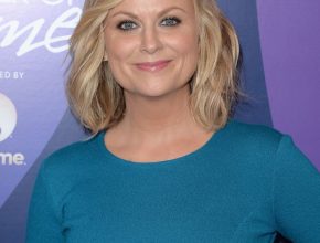 Amy Poehler plastic surgery (31)