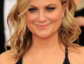 Amy Poehler plastic surgery (35)