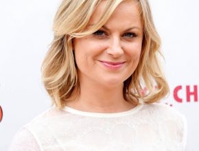 Amy Poehler plastic surgery (8)