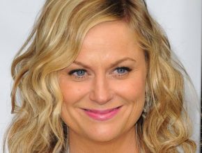 Amy Poehler plastic surgery