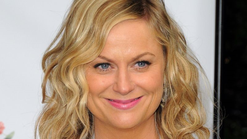Amy Poehler plastic surgery
