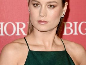 Brie Larson plastic surgery (28)