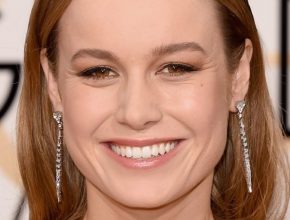 Brie Larson plastic surgery (35)