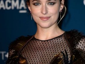 Dakota Johnson plastic surgery (27) fifty shades darker