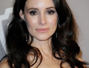 Madeleine Stowe plastic surgery (11)