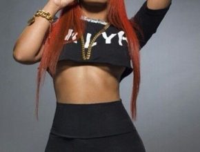 K. Michelle plastic surgery (10)