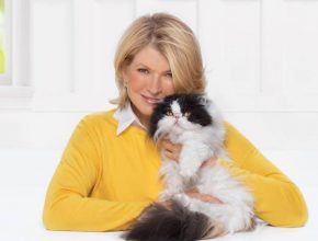 Martha Stewart plastic surgery (7)