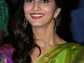 Vaani Kapoor plastic surgery (24)