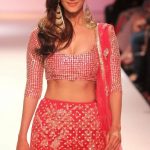 Vaani Kapoor plastic surgery (29)