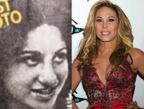 Adrienne Maloof before and afterplastic surgery