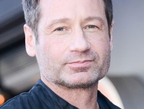 David Duchovny plastic surgery (13)