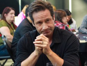 David Duchovny plastic surgery (14)