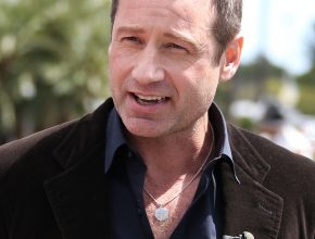 David Duchovny plastic surgery (3)