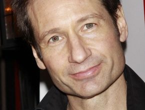 David Duchovny plastic surgery (30)