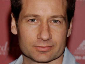 David Duchovny plastic surgery (38)