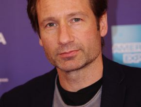 David Duchovny plastic surgery (43)