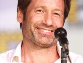 David Duchovny plastic surgery (44)