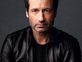 David Duchovny plastic surgery (5)