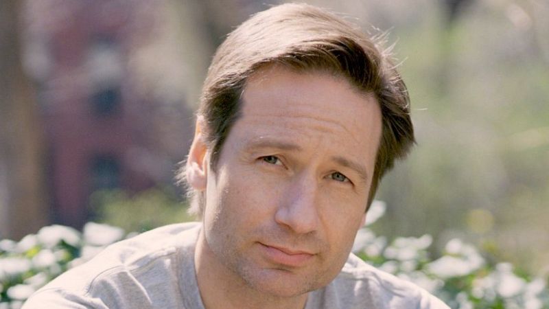 David Duchovny plastic surgeries