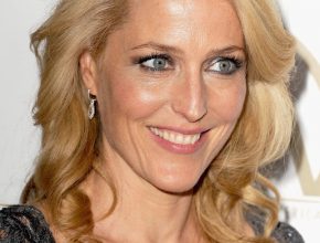 Gillian Anderson plastic surgery (16)