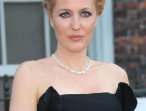 Gillian Anderson plastic surgery (3)