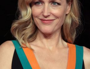 Gillian Anderson plastic surgery (32)