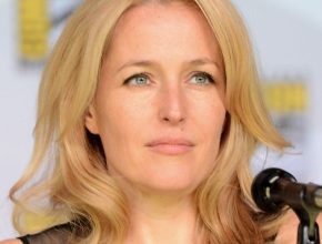 Gillian Anderson plastic surgery (35)