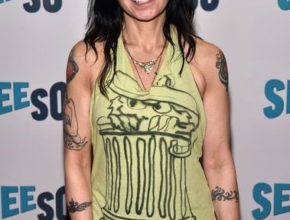 Janeane Garofalo plastic surgery (15)