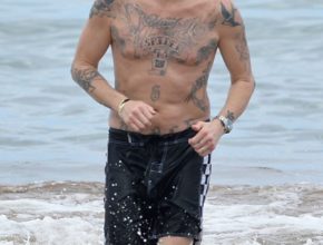 Mark McGrath plastic surgery (7)