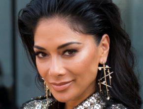 Nicole Scherzinger plastic surgery (12)