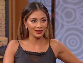 Nicole Scherzinger plastic surgery (23)